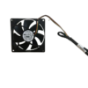 Photo of everlow fan